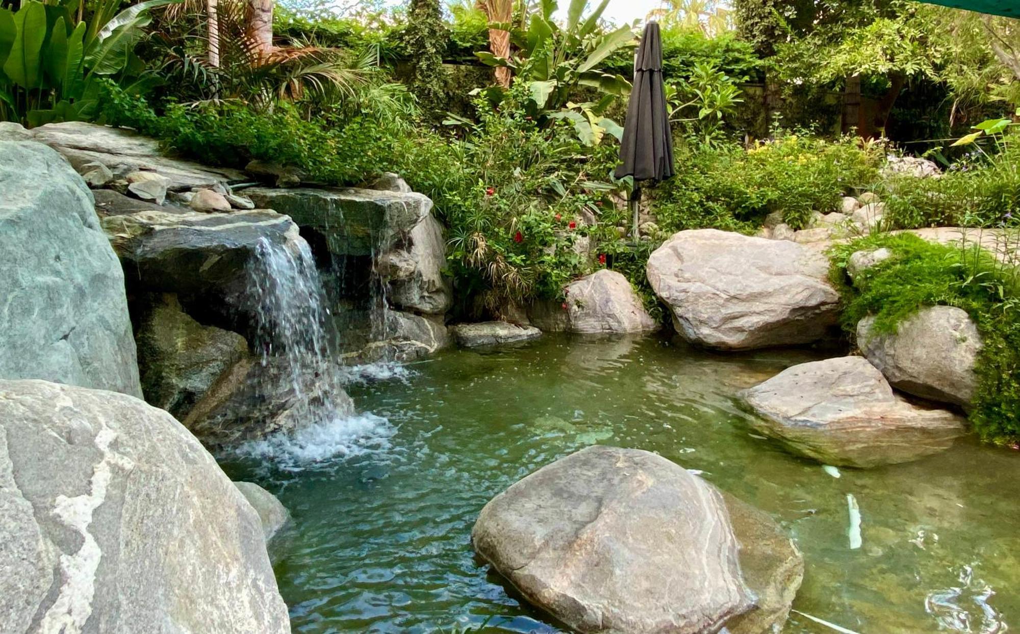 Vista Grande Resort - A Gay Men'S Resort ปาล์มสปริงส์ ภายนอก รูปภาพ