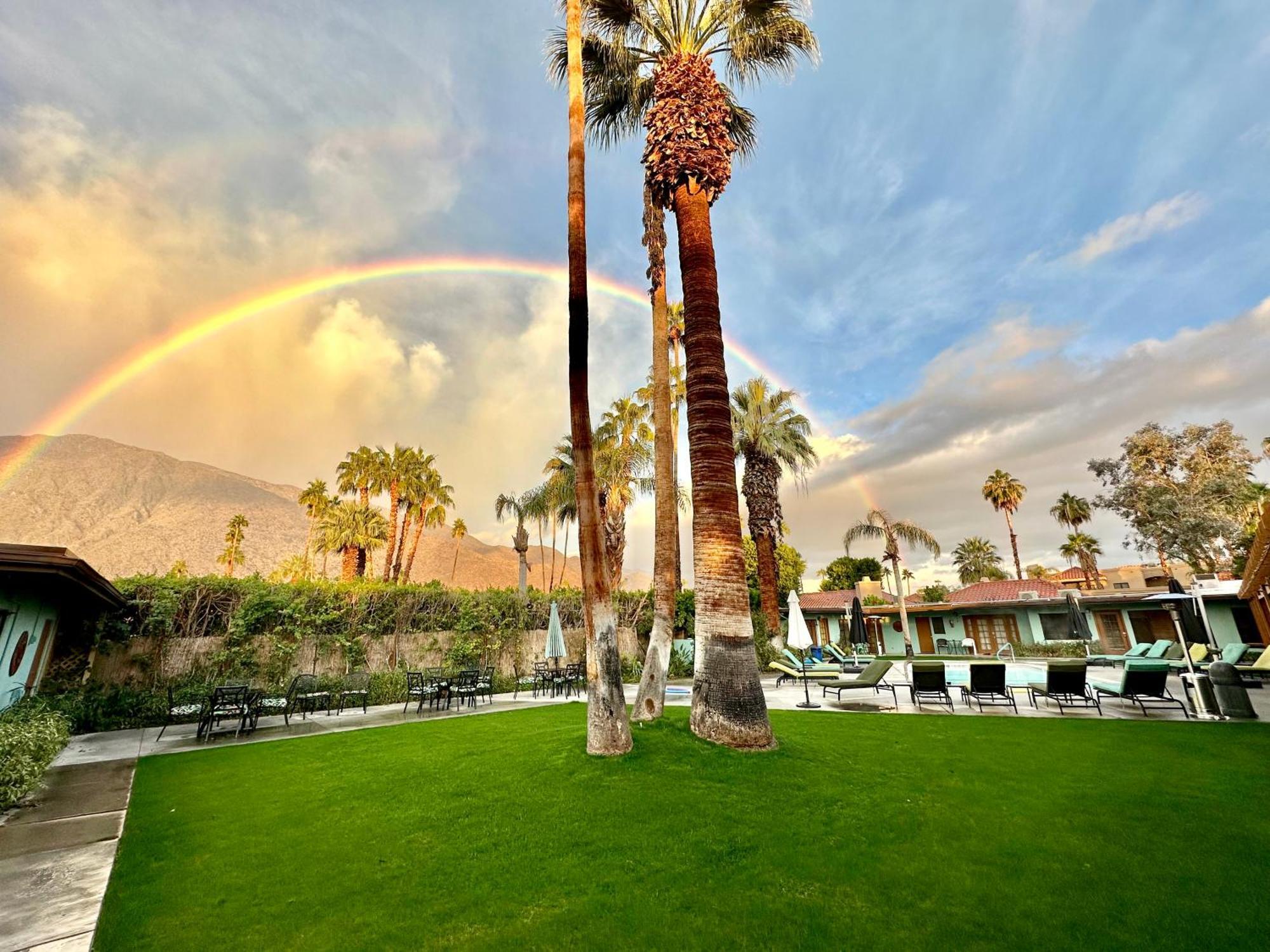 Vista Grande Resort - A Gay Men'S Resort ปาล์มสปริงส์ ภายนอก รูปภาพ